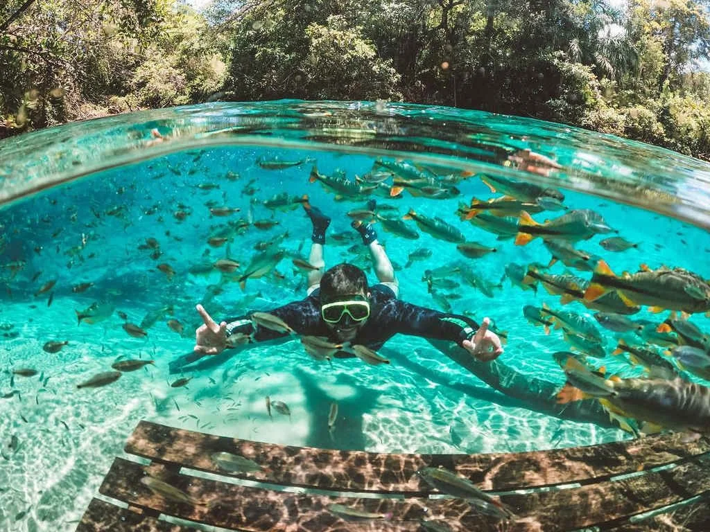 A picture of Bonito, MS
